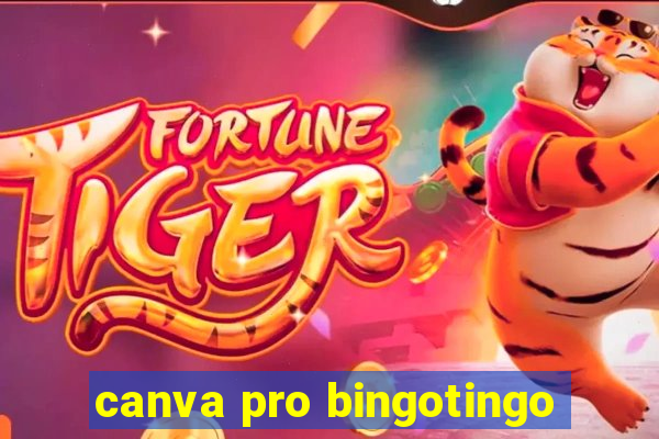 canva pro bingotingo